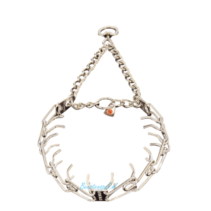 Trainingshalsband – RVS – Tussenplaatje