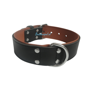 Halsband – Pedrera