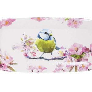 Voederpresenteerschaal  pimpelmees