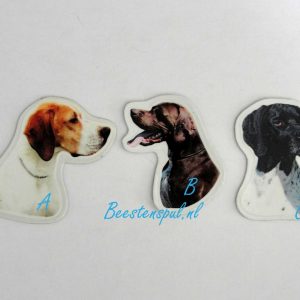 Magneetje – Pointer