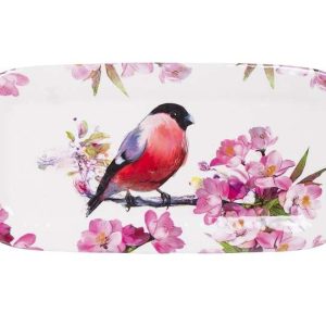 Voederpresenteerschaal roodborstje