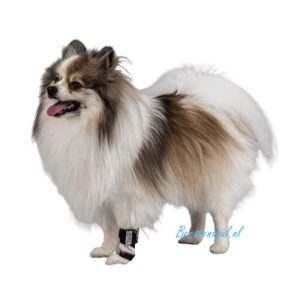 Balto – Brace Pols en Voet (Splint)