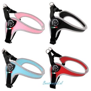 Tre Ponti – Fibbia – Verstelbaar