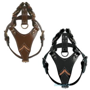 Doxtasy – Tuig – Gladiator