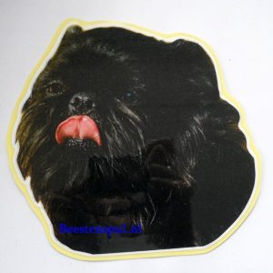 Sticker – Griffon Belge – 1